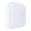 LED Outdoor wall light LED/13W/230V IP54