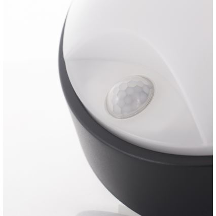 LED Outdoor wall light with a sensor LED/14W/230V IP54