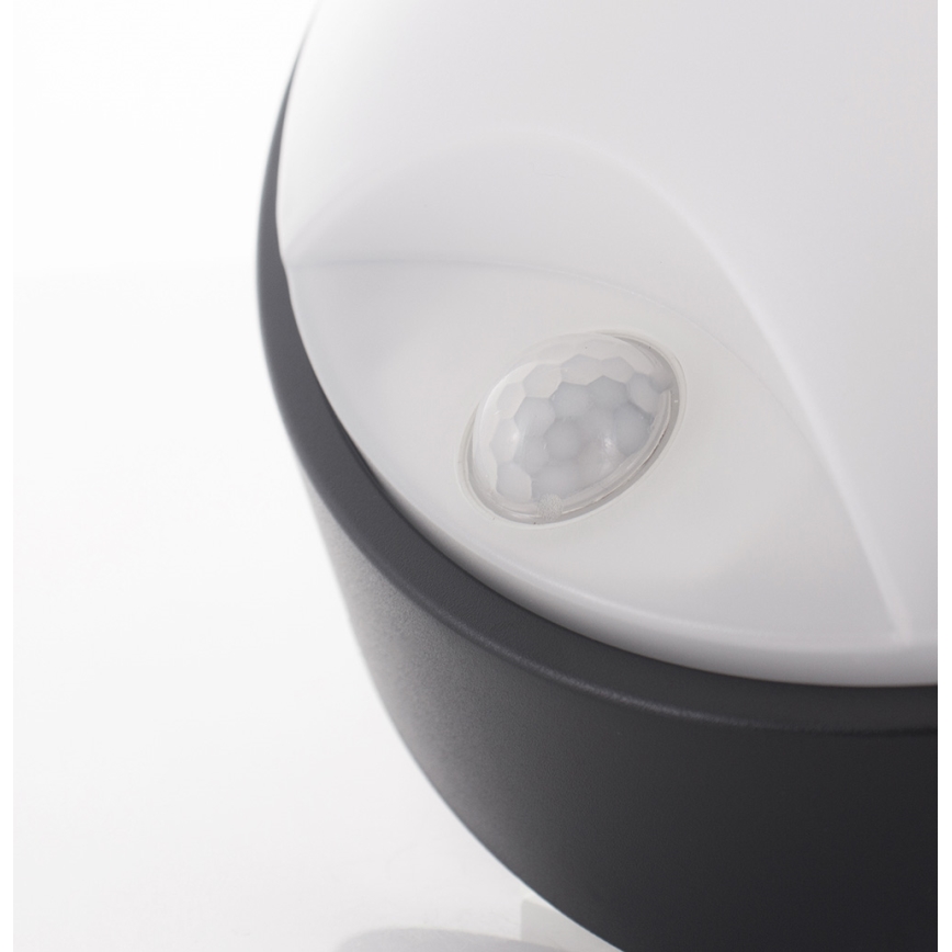 LED Outdoor wall light with a sensor LED/14W/230V IP54