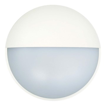LED Outdoor wall light LED/14W/230V IP54 white