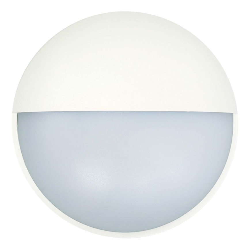 LED Outdoor wall light LED/14W/230V IP54 white