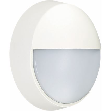 LED Outdoor wall light LED/14W/230V IP54 white