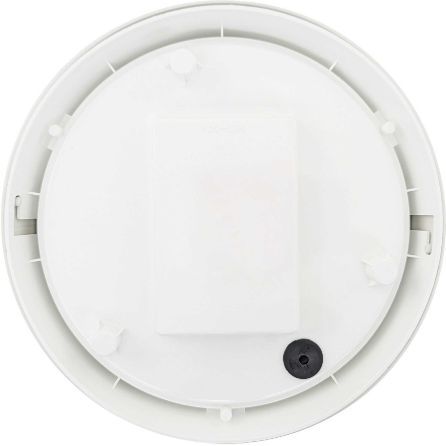 LED Outdoor wall light LED/14W/230V IP54 white