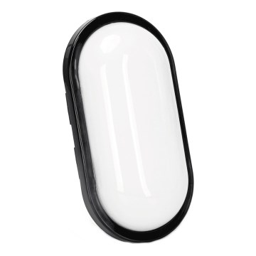 LED Outdoor wall light LED/15W/230V 6500K black IP65