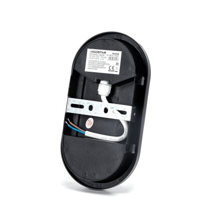 LED Outdoor wall light LED/15W/230V 6500K black IP65