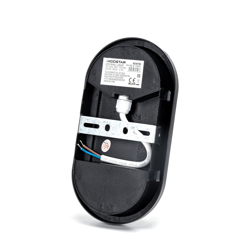 LED Outdoor wall light LED/15W/230V 6500K black IP65