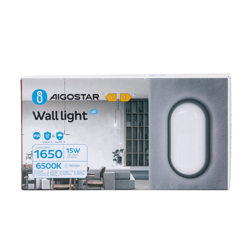 LED Outdoor wall light LED/15W/230V 6500K black IP65