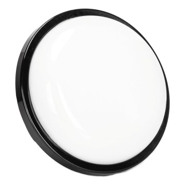 LED Outdoor wall light LED/15W/230V 6500K d. 15,5 cm black IP65