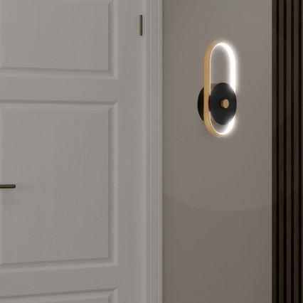 LED Outdoor wall light LED/15W/230V IP54 3000K brass