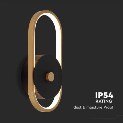 LED Outdoor wall light LED/15W/230V IP54 3000K brass