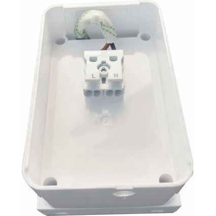 LED Outdoor wall light LED/15W/230V IP54 white