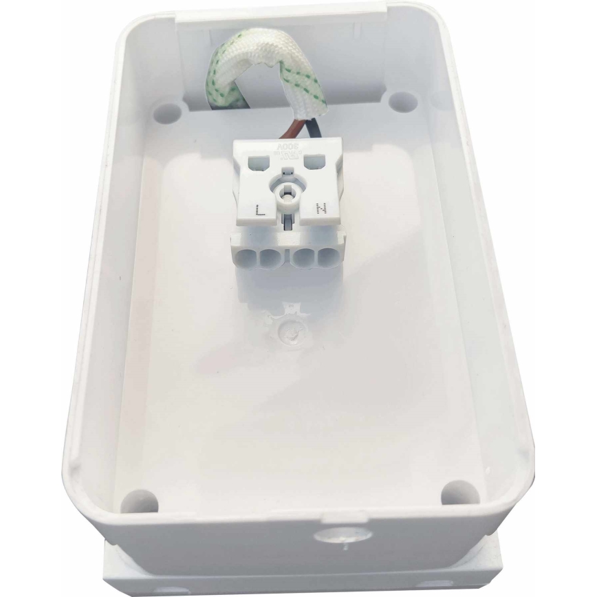 LED Outdoor wall light LED/15W/230V IP54 white