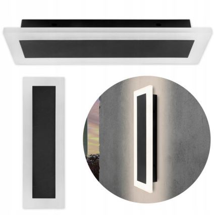 LED Outdoor wall light LED/19W/230V IP54 black