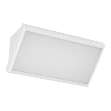 LED Outdoor wall light LED/20W/230V 3000K IP65 white