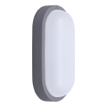 LED Outdoor wall light LED/20W/230V 4000K IP54 grey oval