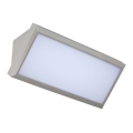 LED Outdoor wall light LED/20W/230V 4000K IP65 grey