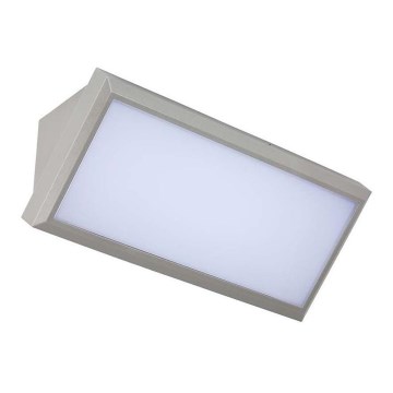 LED Outdoor wall light LED/20W/230V 4000K IP65 grey