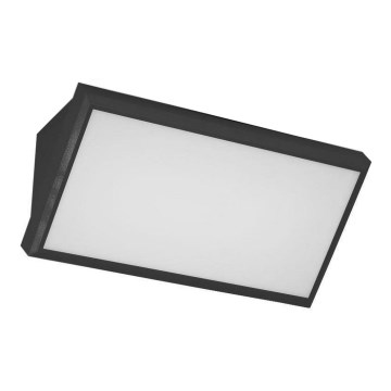 LED Outdoor wall light LED/20W/230V 6400K IP65 black