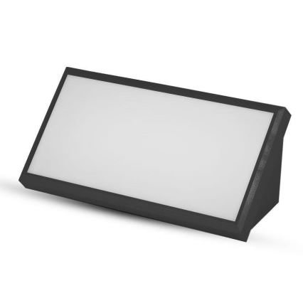 LED Outdoor wall light LED/20W/230V 6400K IP65 black
