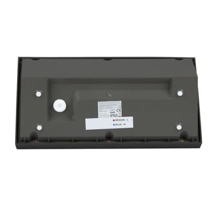 LED Outdoor wall light LED/20W/230V 6400K IP65 black