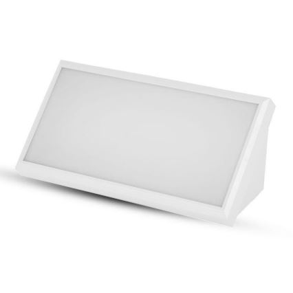 LED Outdoor wall light LED/20W/230V 6400K IP65 white