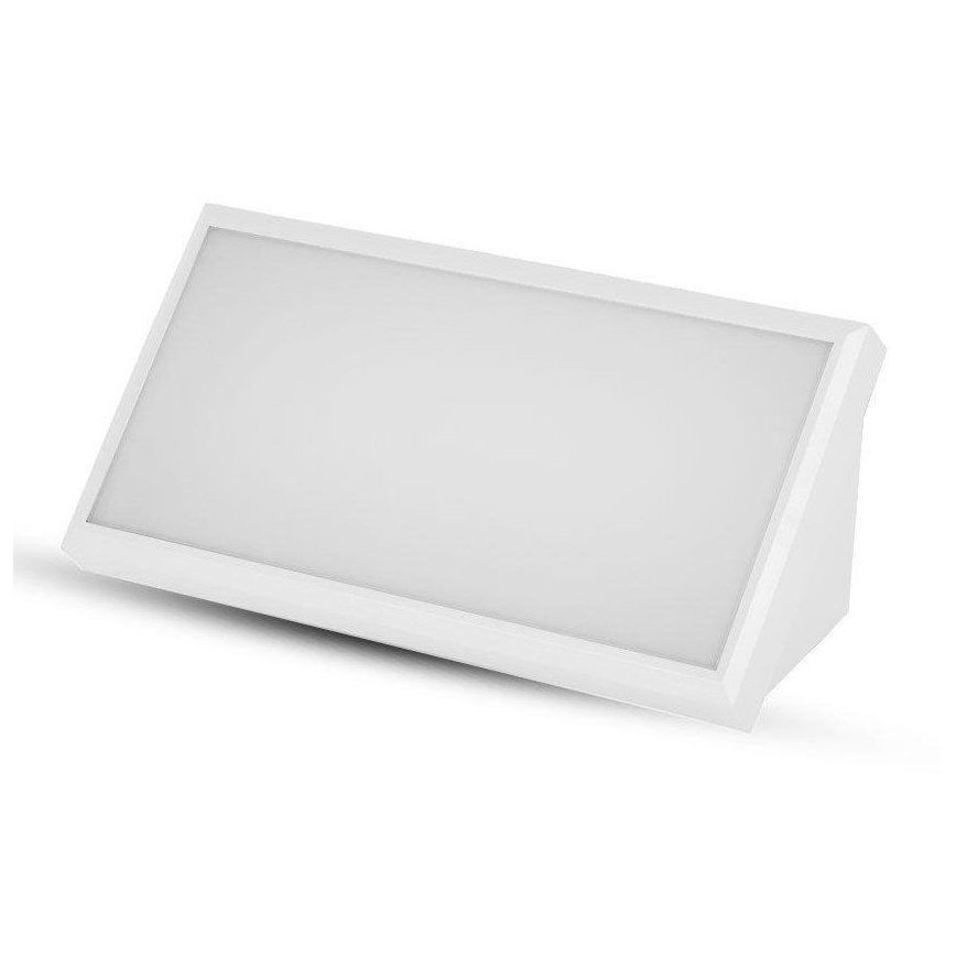 LED Outdoor wall light LED/20W/230V 6400K IP65 white