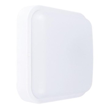 LED Outdoor wall light LED/20W/230V IP54 