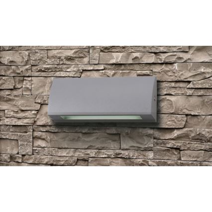 LED Outdoor wall light LED/3,5W/230V