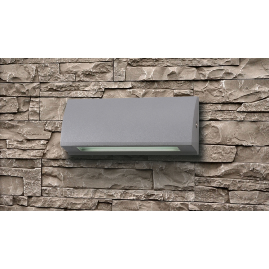 LED Outdoor wall light LED/3,5W/230V