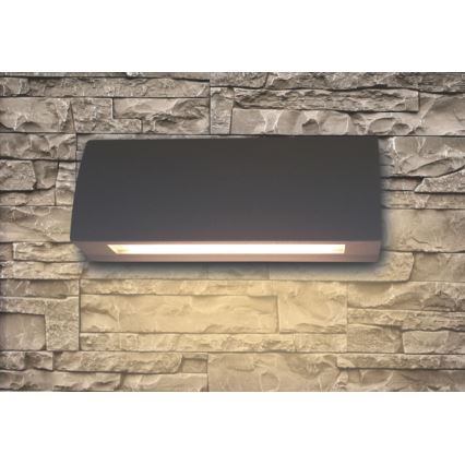 LED Outdoor wall light LED/3,5W/230V