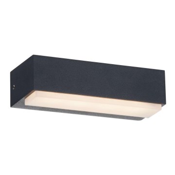 LED Outdoor wall light LED/3,5W/230V IP54