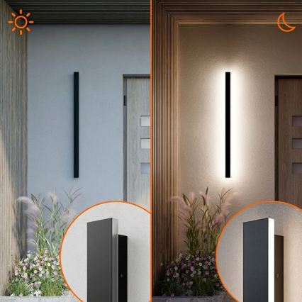 LED Outdoor Wall Light LED/30W/230V 100 cm IP65 black