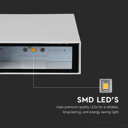 LED Outdoor wall light LED/4W/230V 3000K IP65 white