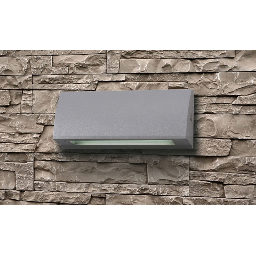 LED Outdoor wall light LED/6W/230V IP54