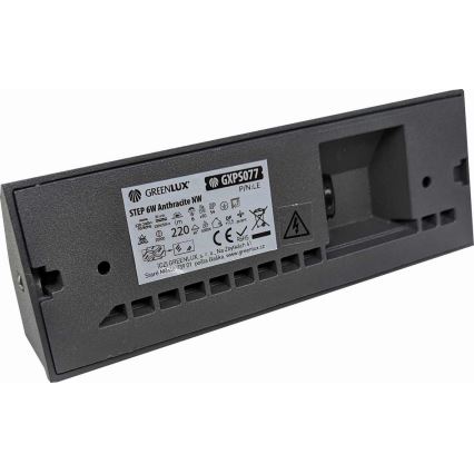 LED Outdoor wall light LED/6W/230V IP54