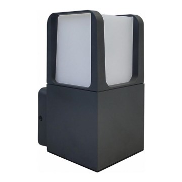 LED Outdoor wall light LED/6W/230V IP54