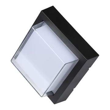 LED Outdoor wall light LED/7W/230V 3000K IP65