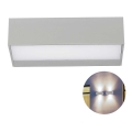 LED Outdoor wall light LED/9W/230V 3000K IP65