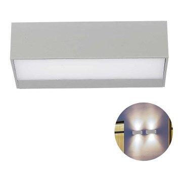 LED Outdoor wall light LED/9W/230V 4000K IP65
