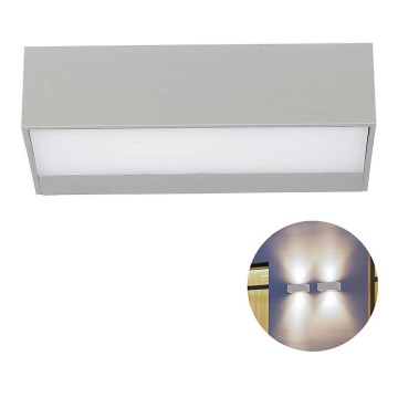 LED Outdoor wall light LED/9W/230V 6500K IP65