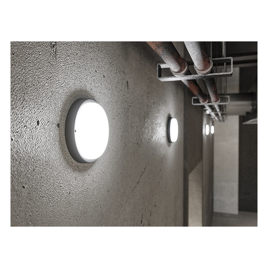 LED Outdoor Wall Light LED/9W/230V IP54 Black