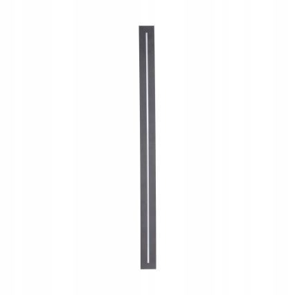 LED Outdoor wall light LINEA LED/12W/230V IP65 61 cm anthracite