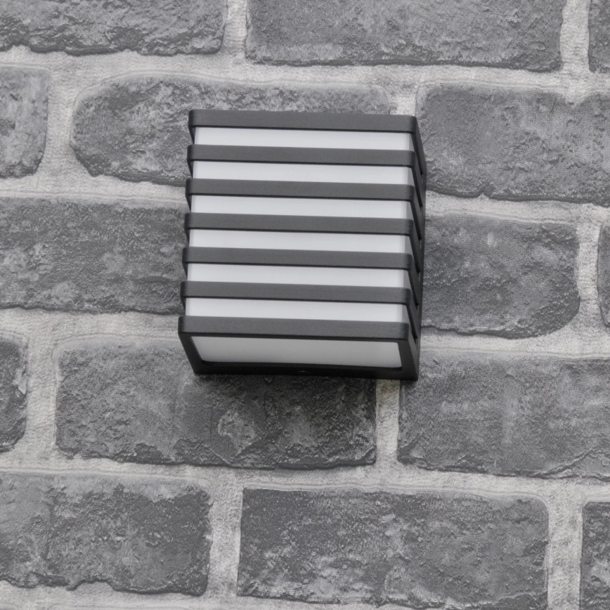 LED Outdoor wall light MAXWELL LED/10W/230V IP54 graphite