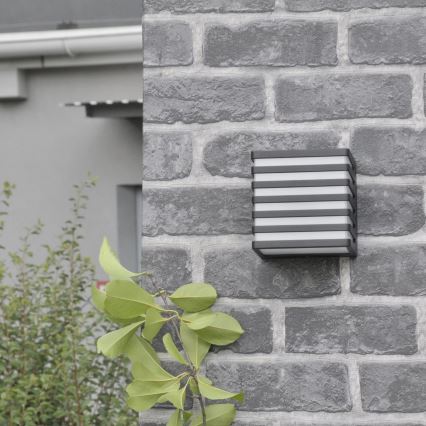 LED Outdoor wall light MAXWELL LED/10W/230V IP54 graphite
