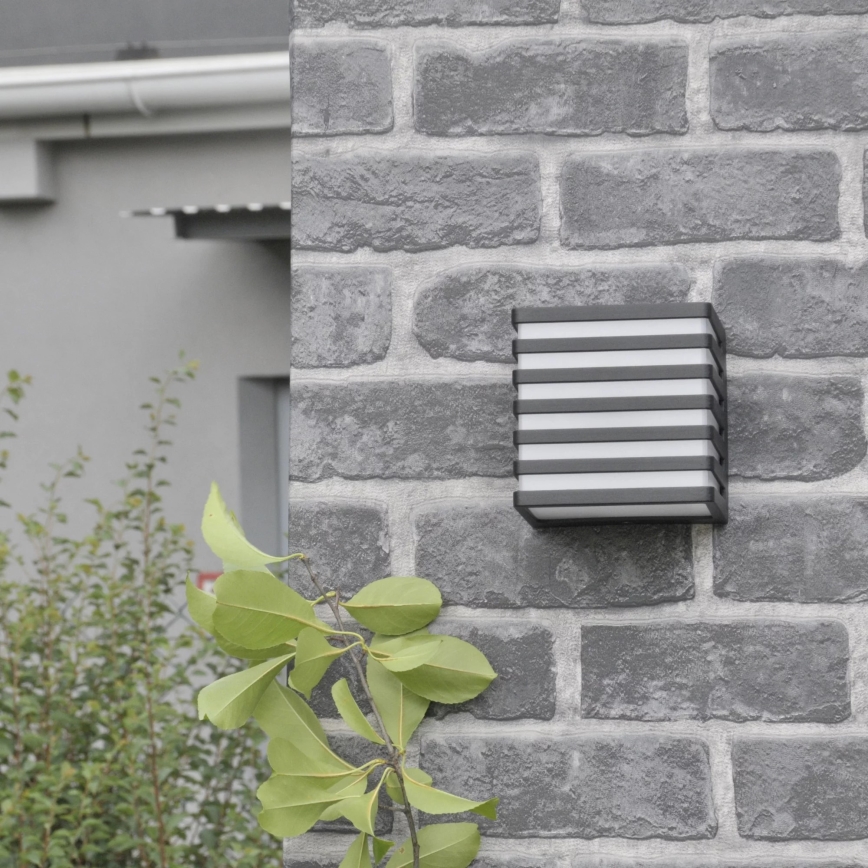 LED Outdoor wall light MAXWELL LED/10W/230V IP54 graphite