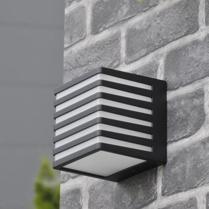 LED Outdoor wall light MAXWELL LED/10W/230V IP54 graphite