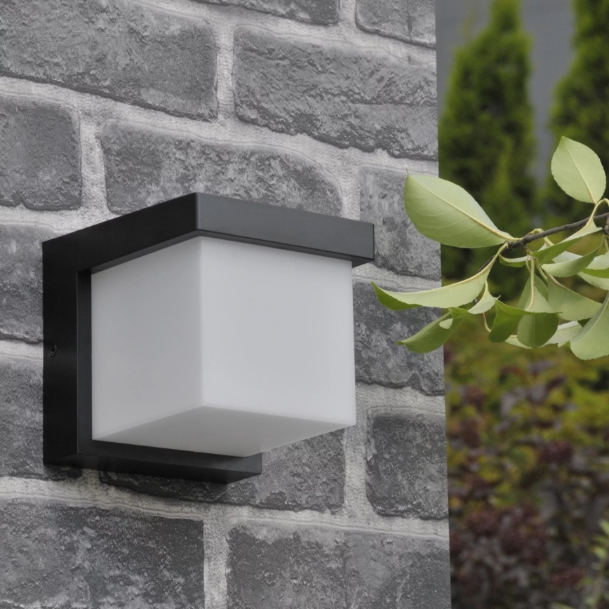 LED Outdoor wall light MORGAN LED/10W/230V IP54