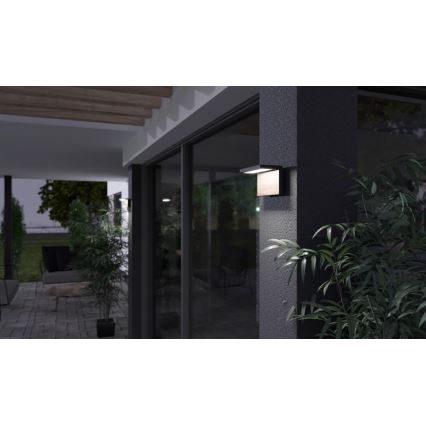 LED Outdoor wall light NATURA LED/12W/230V 4000K IP65 brown/anthracite