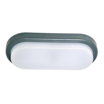 LED Outdoor wall light OVAL LED/18W/230V IP54