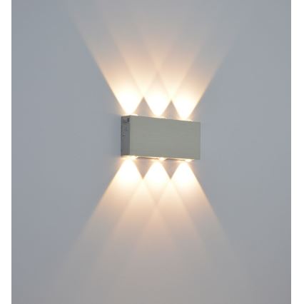 LED Outdoor wall light SILBER 6xLED/1W/230V IP54